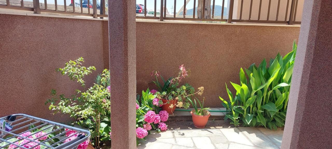 Stavros House Apartment Sarti Ngoại thất bức ảnh